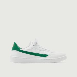Vegan 581 | Cyprus (Orthopedic)